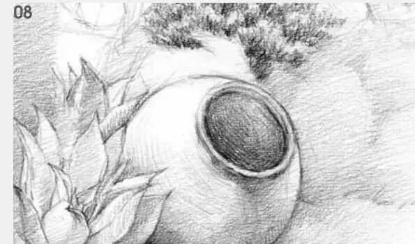 素描場景實操教程！花園一角怎么畫？重慶畫室學子看過來！圖九