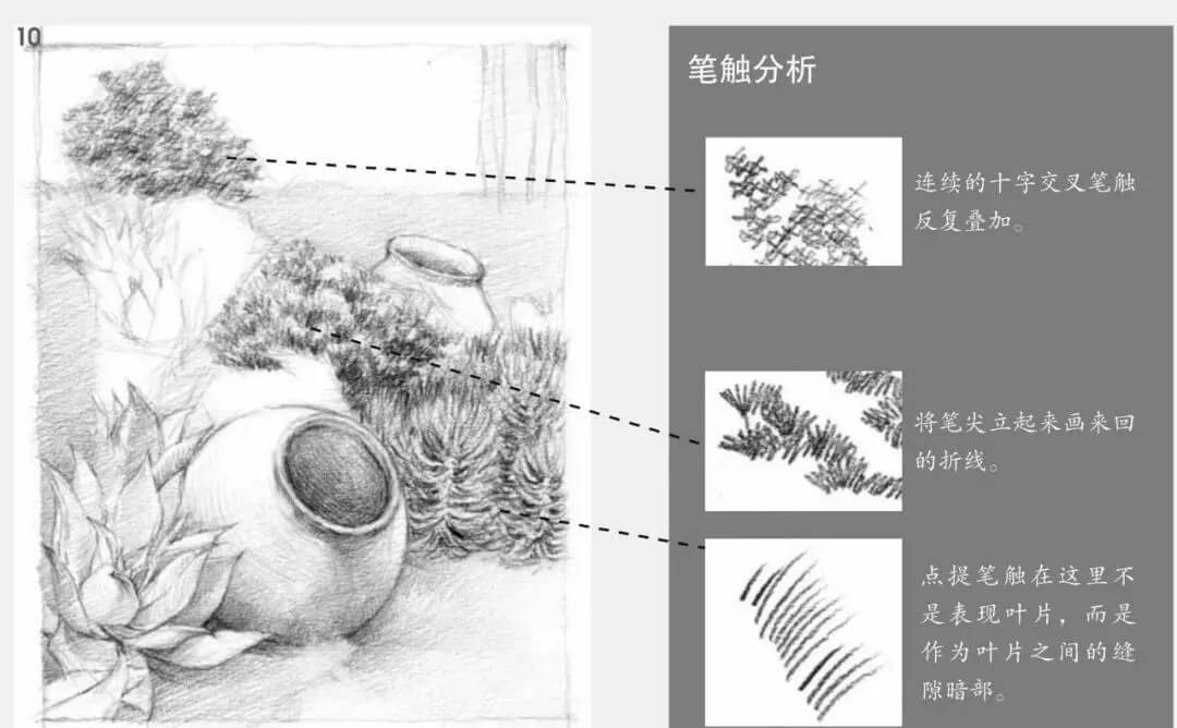 素描場景實操教程！花園一角怎么畫？重慶畫室學子看過來！圖十一