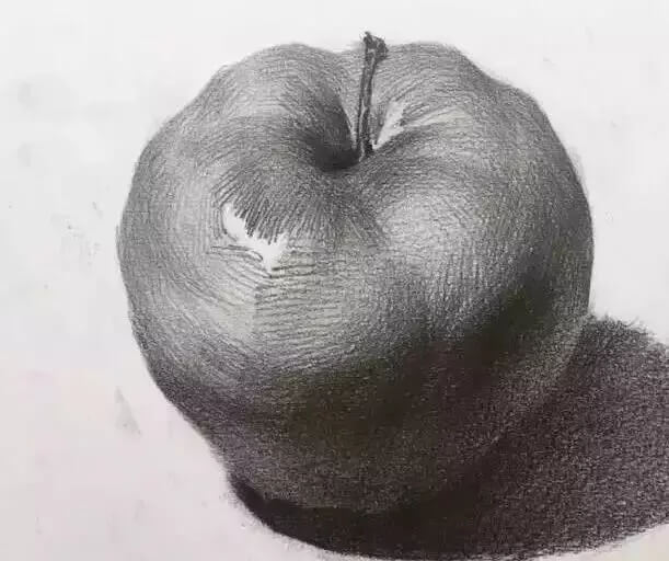 學會這七類靜物單體，你的素描將會更進一步
