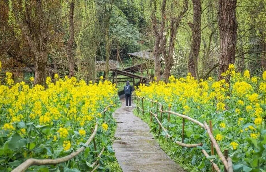 在川美上學(xué)是一種什么體驗？重慶美術(shù)集訓(xùn)畫室?guī)銇頋q姿勢了！
