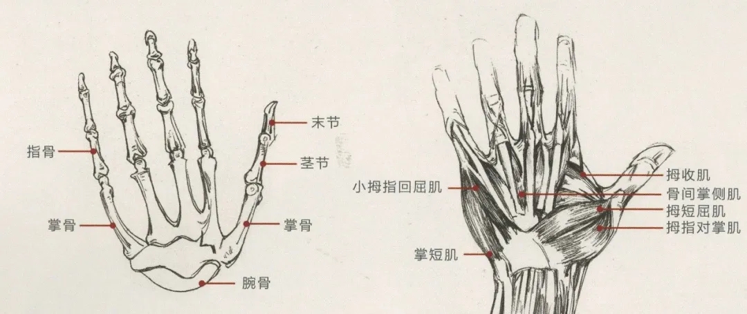 重慶美術培訓畫室：畫人難畫手，畫好手速寫事半功倍！