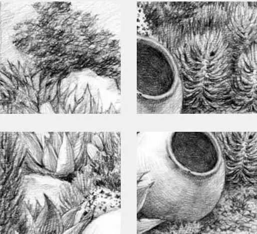 素描場景實操教程！花園一角怎么畫？重慶畫室學子看過來！圖十六