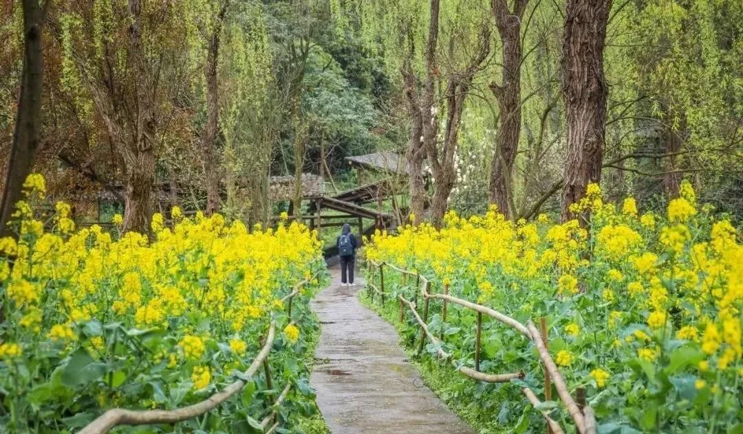 重慶畫室培訓助你考上川美！體驗川美校園環境，提前愛上她！