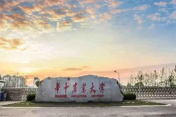 重慶校考畫室
