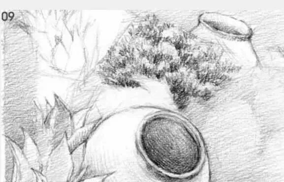 素描場景實操教程！花園一角怎么畫？重慶畫室學子看過來！圖十