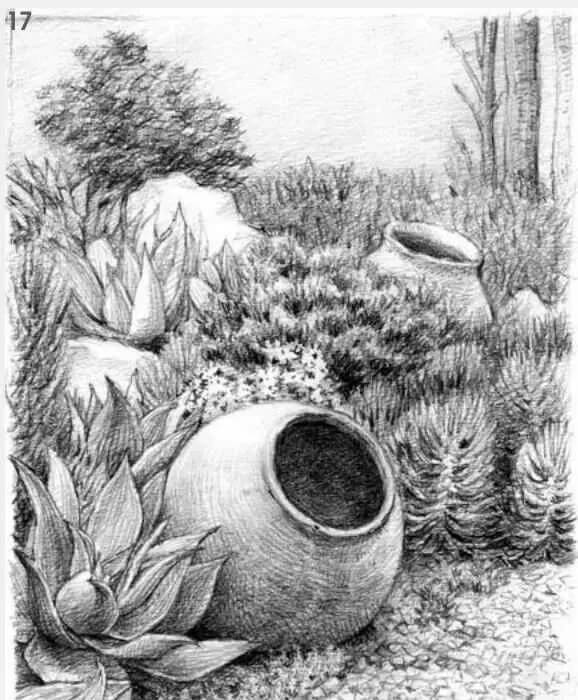 素描場景實操教程！花園一角怎么畫？重慶畫室學子看過來！圖十八