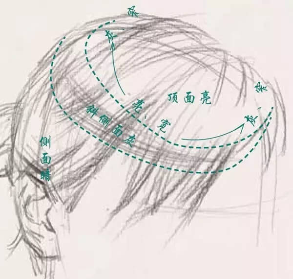 素描頭像的發絲教學！跟著重慶美術集訓畫室老師看看吧，圖一
