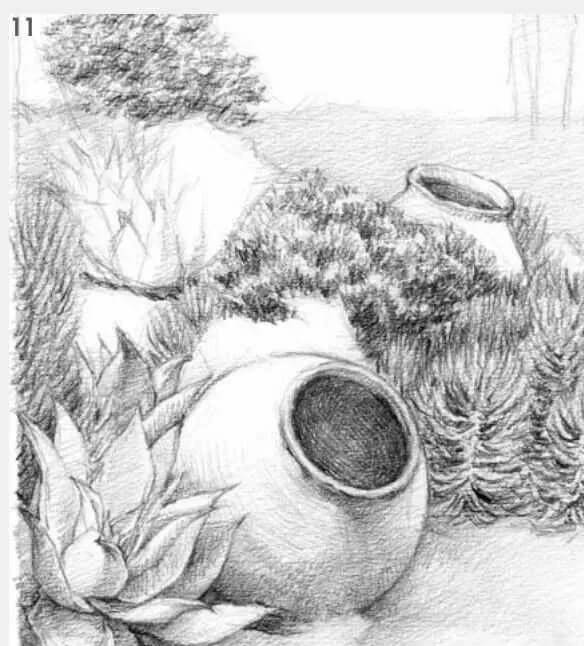 素描場景實操教程！花園一角怎么畫？重慶畫室學子看過來！圖十二