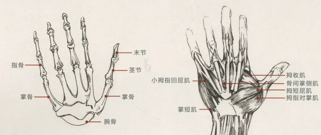 重慶美術(shù)培訓(xùn)畫室：畫人難畫手，畫好手速寫事半功倍！