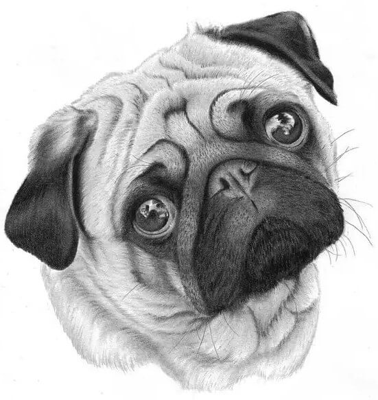 畫素描如何快速提高分數？這十大事實重慶美術培訓畫室里的同學一定要知道！
