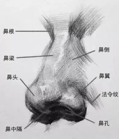 畫好五官，整個頭像就亮了！重慶美術培訓畫室幫你聯考素描提高10分！