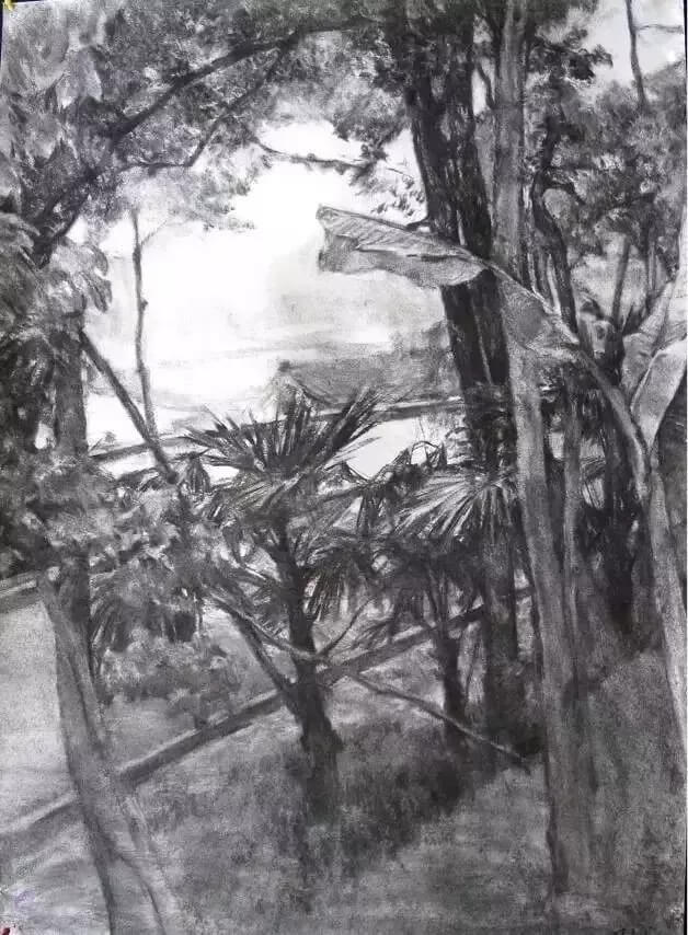 重慶美術高考培訓學校收集分享|九大美術學院素描作品，你覺得哪家美院畫的好！圖一