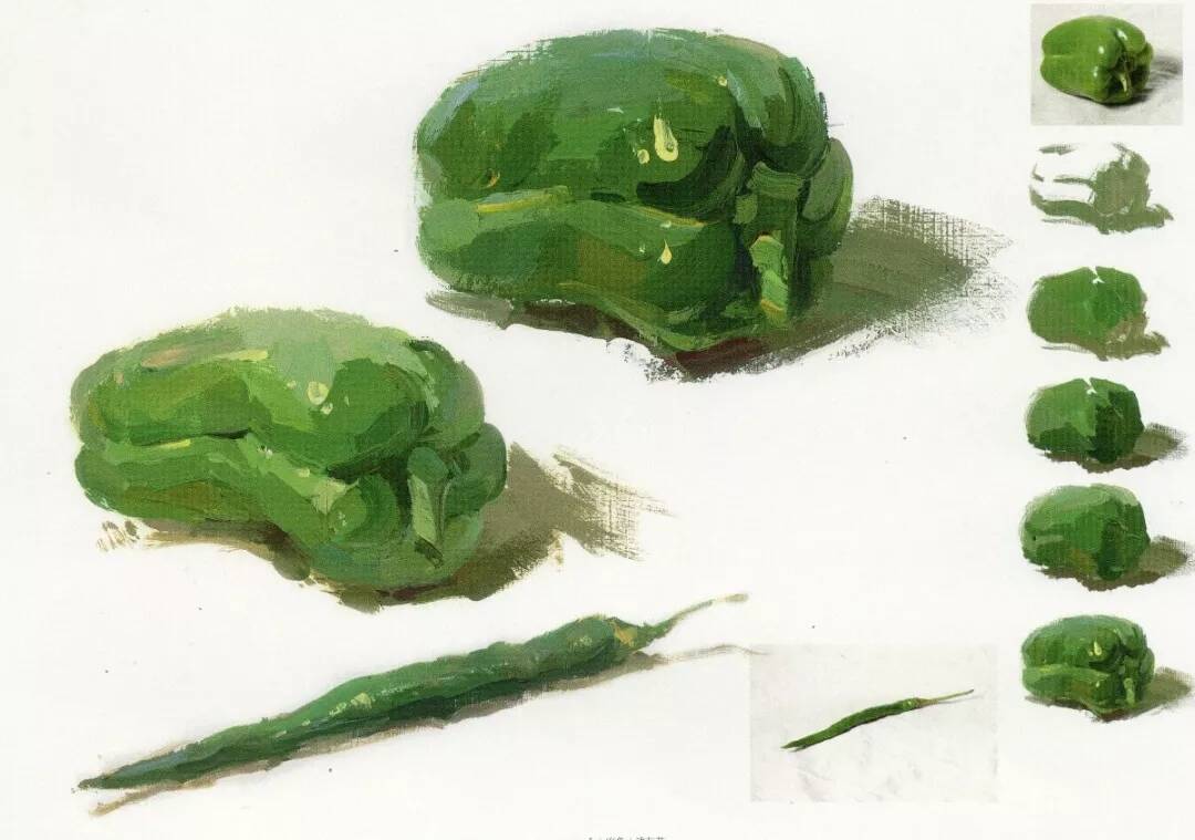 重慶美術(shù)培訓(xùn)畫室為你整理了聯(lián)考常見的色彩靜物單體詳解！